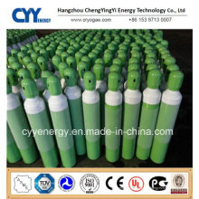 ISO9809 Cylindre de gaz à dioxyde de carbone à combustion artificielle à haute pression en acier inoxydable